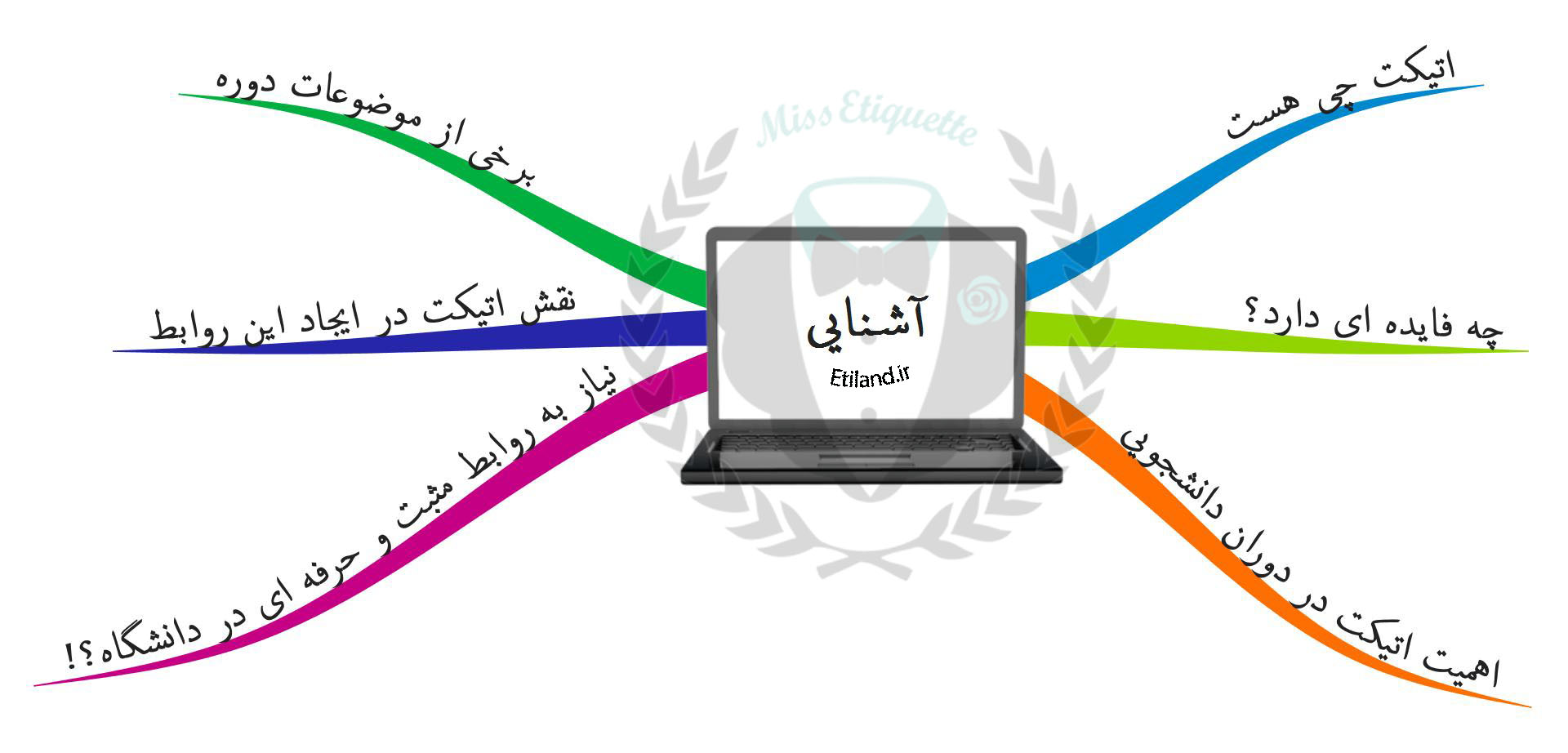 دانشجوی حرفه ای-0